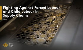2025 Report - Fighting Against Forced Labour and Child Labour in Supply Chains.pdf