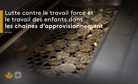 Rapport 2025 - Lutte contre le travail forcé et le travail des enfants dans les chaînes d’approvisionnement.pdf