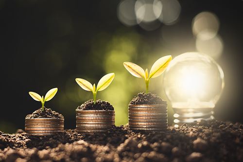 Photo of light bulb growing in dirt with tiny plants.