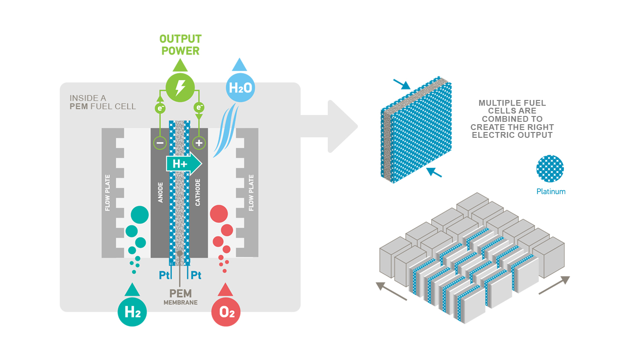 Inside a PME fuel cell