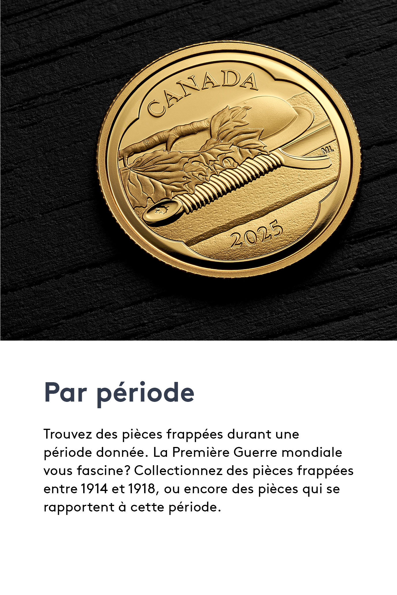 La Tombe du Soldat inconnu - Pièce en or pur 