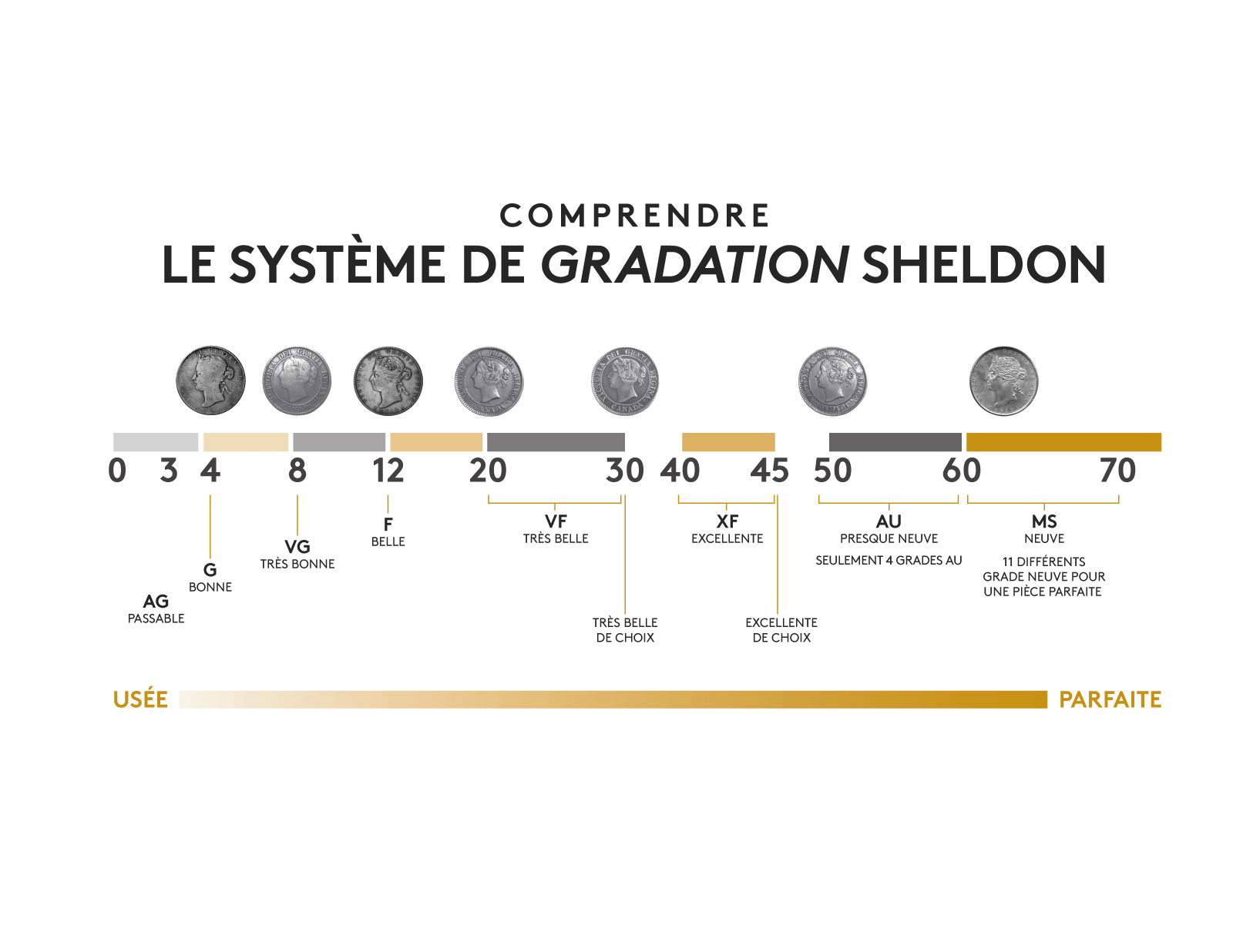 le systeme de gradation sheldon
