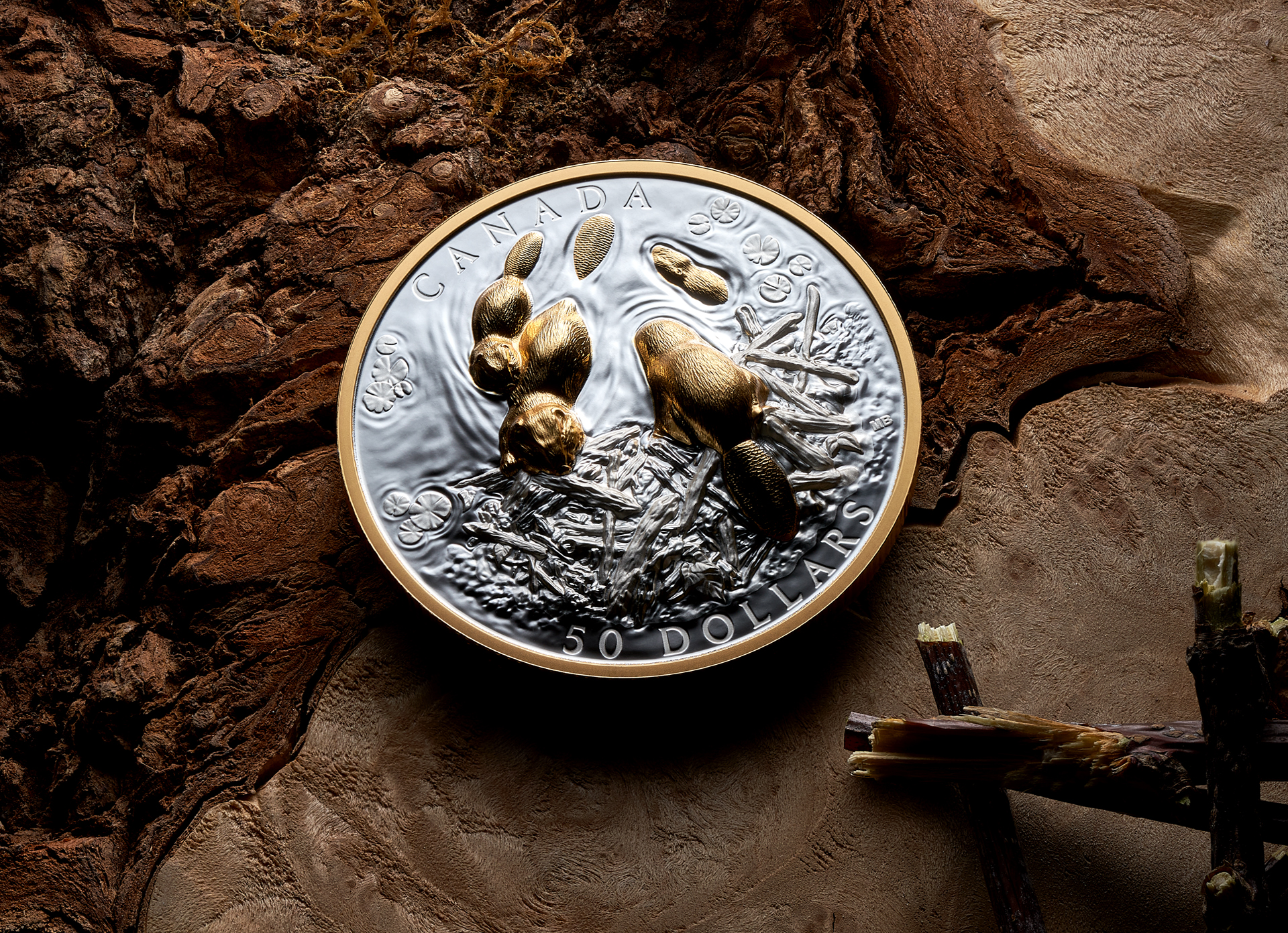 Canadian Symbol: The Beaver – Fine Silver Coin