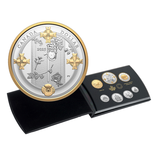 Ensemble épreuve numismatique en argent fin – La Tombe du Soldat inconnu (2000-2025)