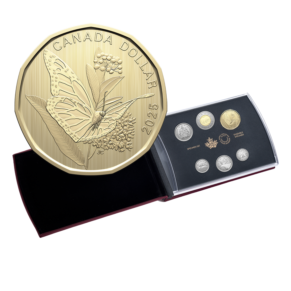 Specimen Set – Monarch Butterfly (2025)