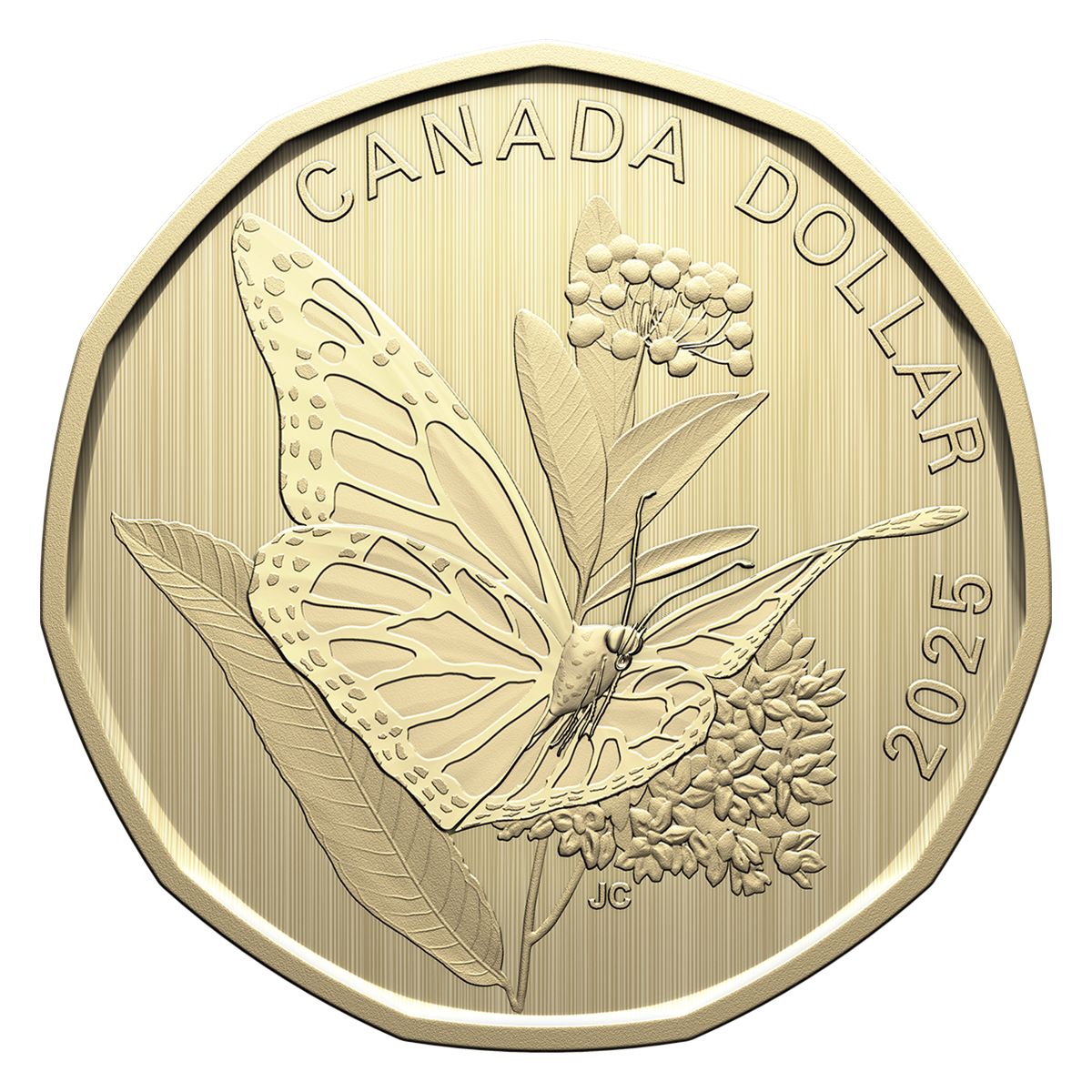 Specimen Set – Monarch Butterfly (2025)