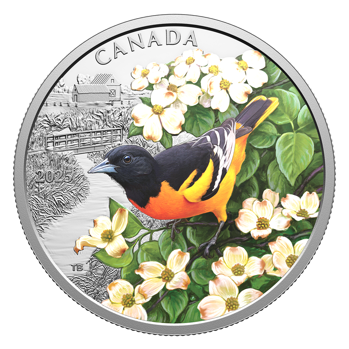Colourful Birds: Baltimore Oriole – 1 oz. Fine Silver Coin