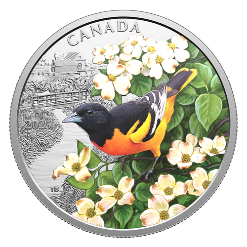 Colourful Birds: Baltimore Oriole – 1 oz. Fine Silver Coin