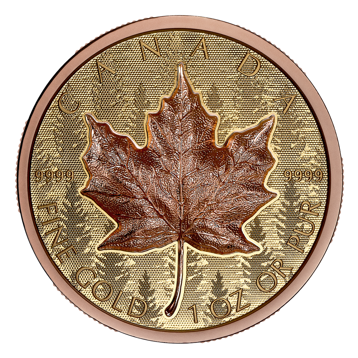 Gold Maple Leaf – Pure Gold Ultra-High Relief Coin (2025)