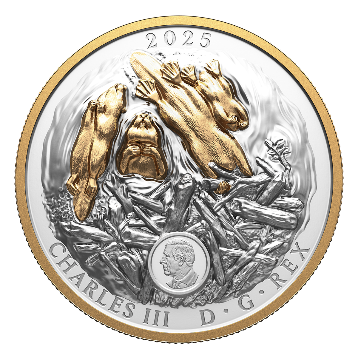 Canadian Symbol: The Beaver – Fine Silver Coin