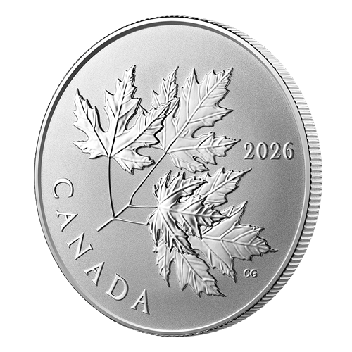 Angled reverse of Silver Coin