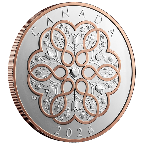 Angled reverse of Silver Coin