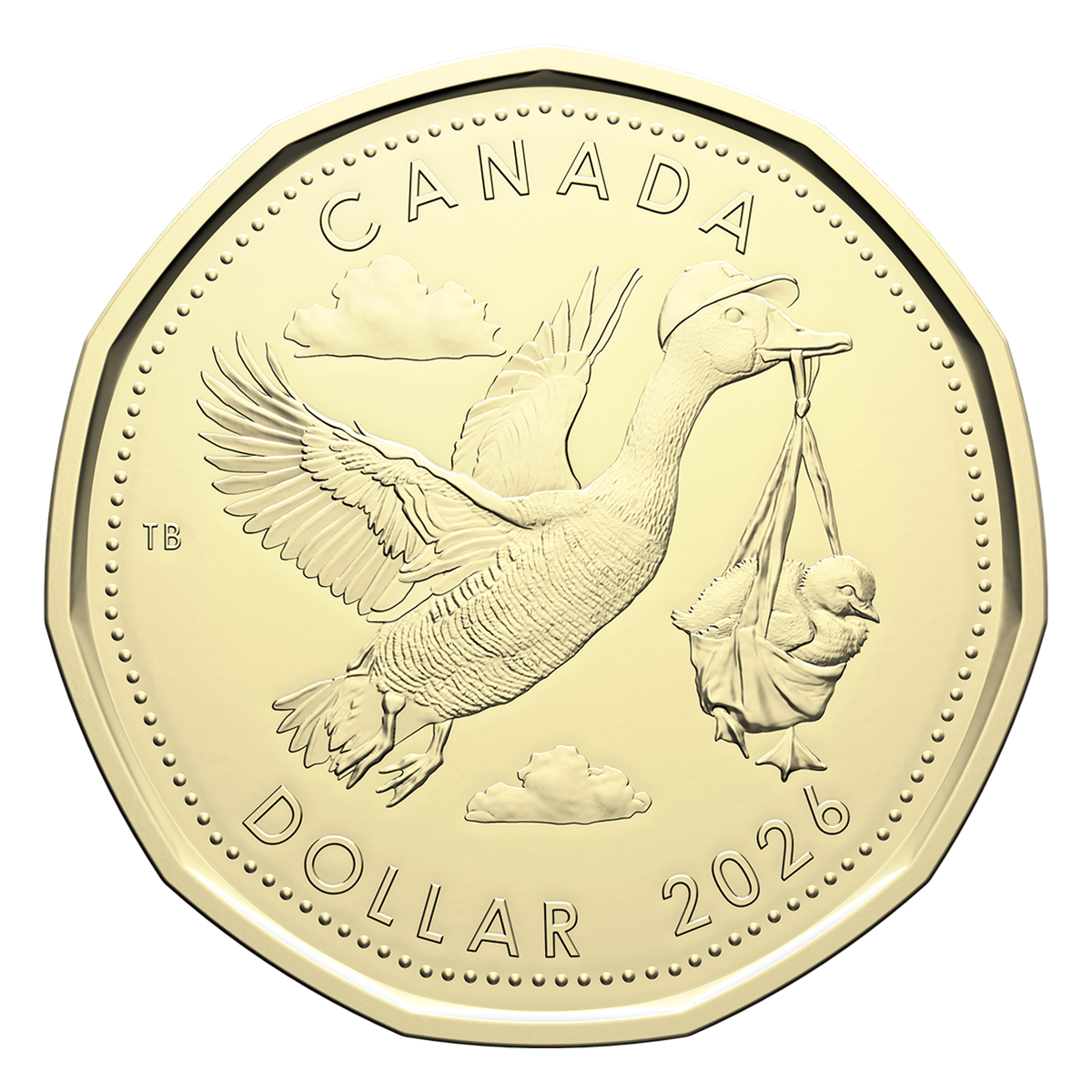 Baby Gift Card Set (2026)