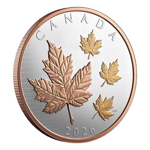 Angled reverse of Silver Coin