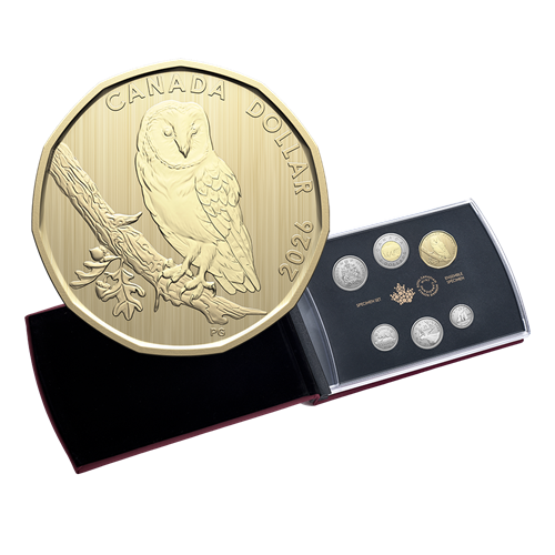 Specimen Set – Barn Owl (2026)