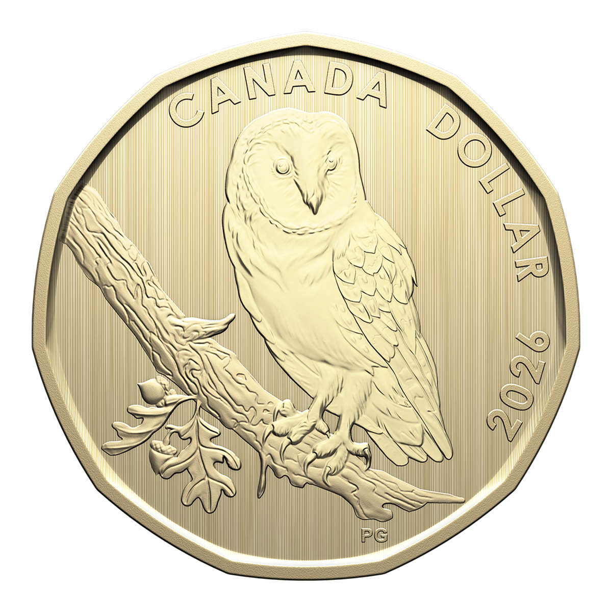 Specimen Set – Barn Owl (2026)