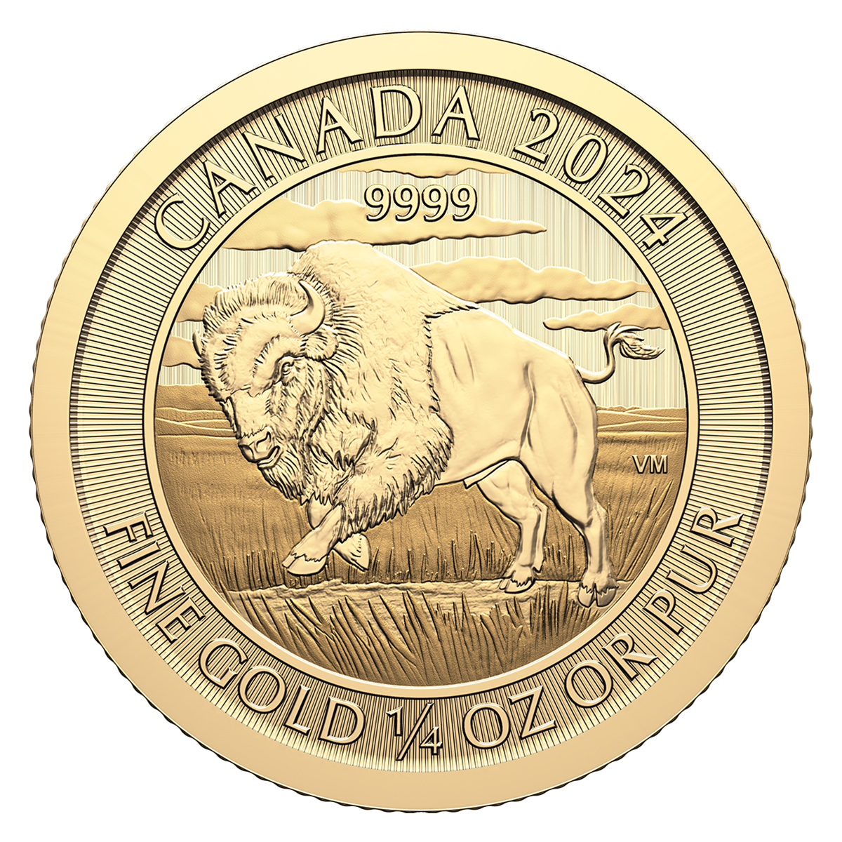 2024 1/4 oz. 99.99% Pure Gold Coin - Bison (Bullion)