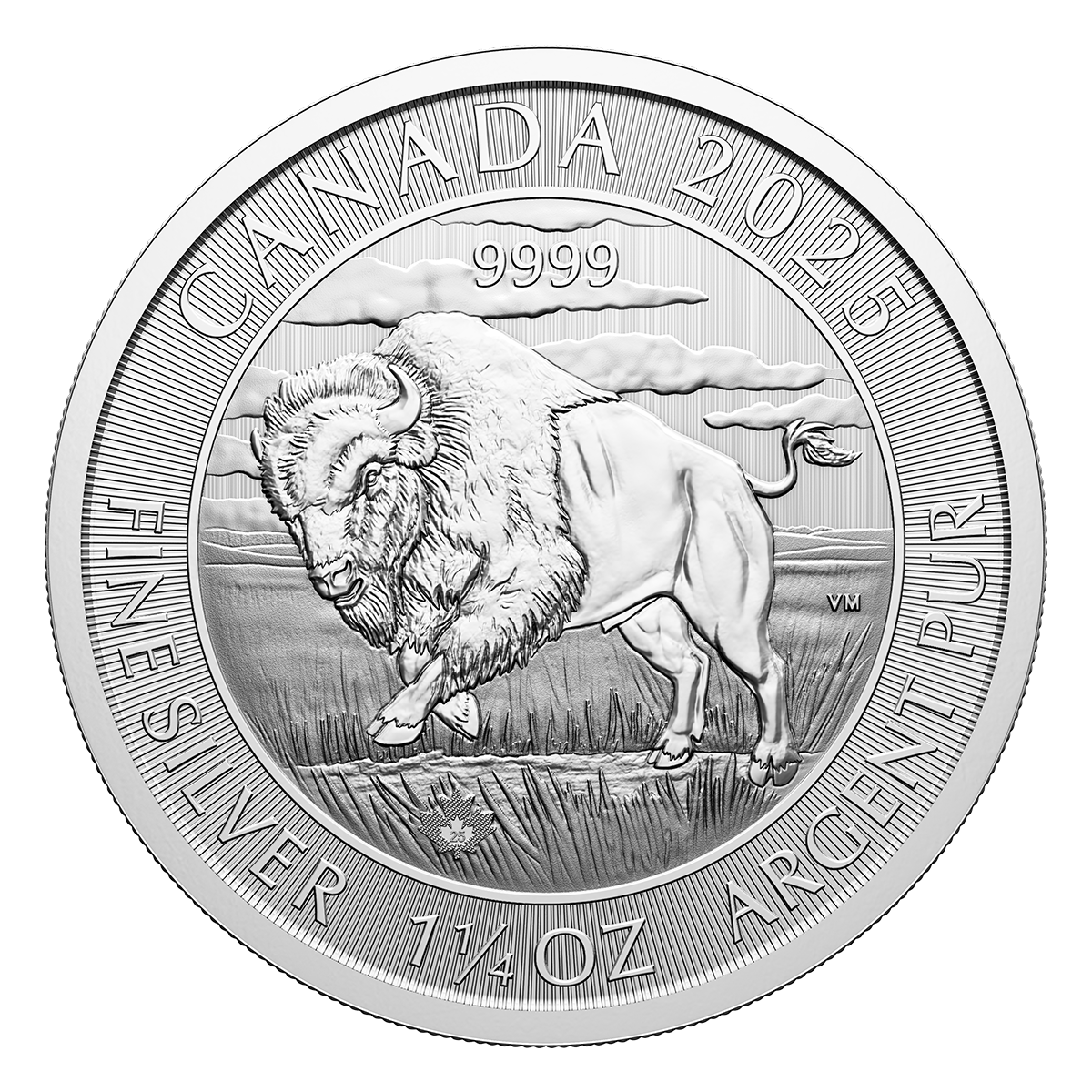 Bison - 2025 1.25 oz. 99.99% Pure Silver Coin (Bullion) 