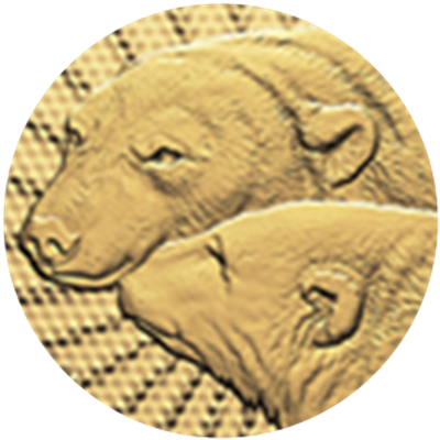 Close up of gold coin, privy mark of polar bears.